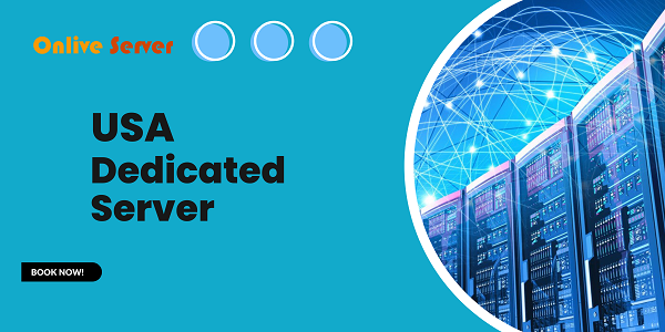 USA Dedicated Server: The Best Way To Go For Maximum Security