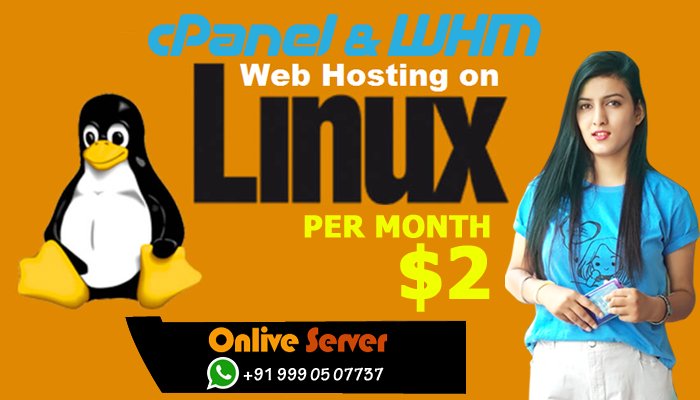 Cpanel Linux Web Hosting