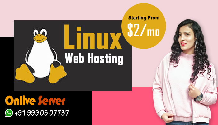 Making the Choice of the Best Web Hosting Provider