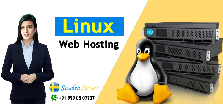 Linux web hosting 