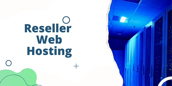 Why choose Reseller Web Hosting For Your Business?